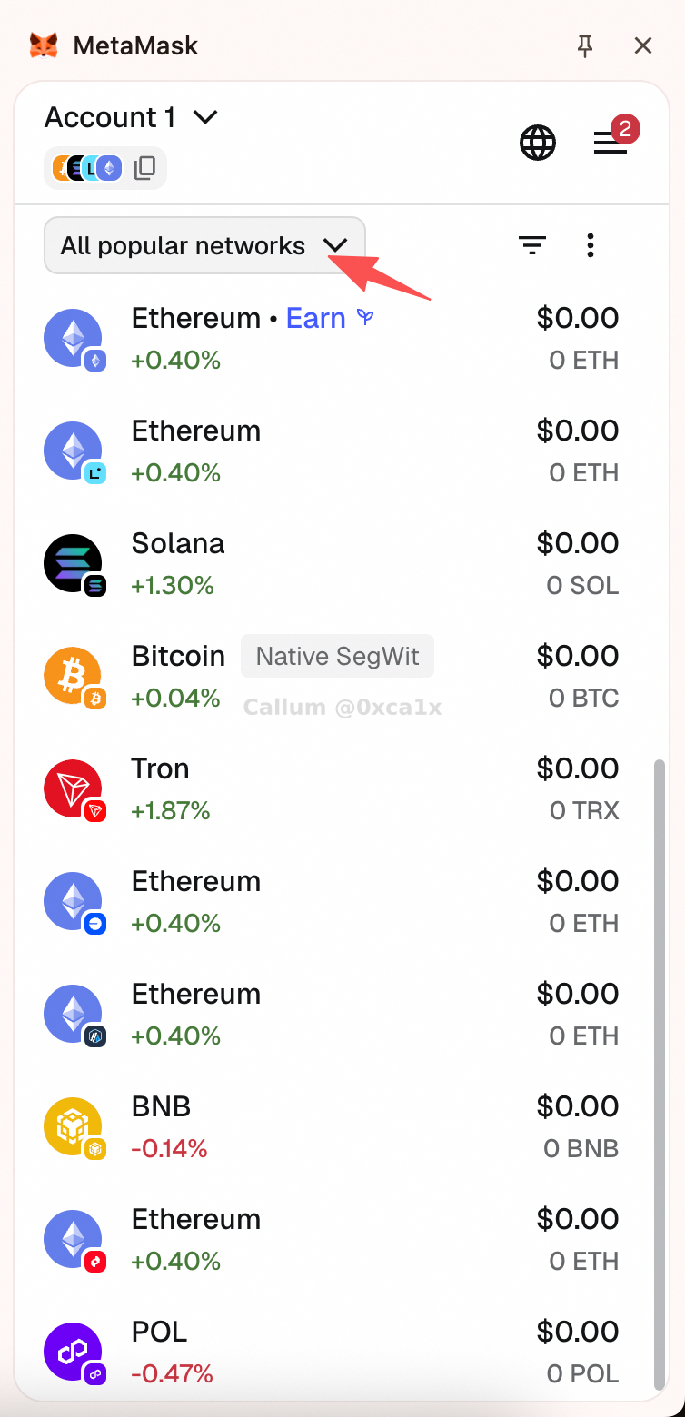 MetaMask open network selector